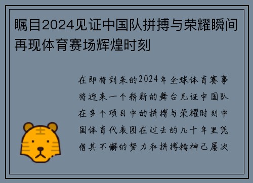 瞩目2024见证中国队拼搏与荣耀瞬间再现体育赛场辉煌时刻 瞩目2024见证中国队拼搏与荣耀瞬间再现体育赛场辉煌时刻